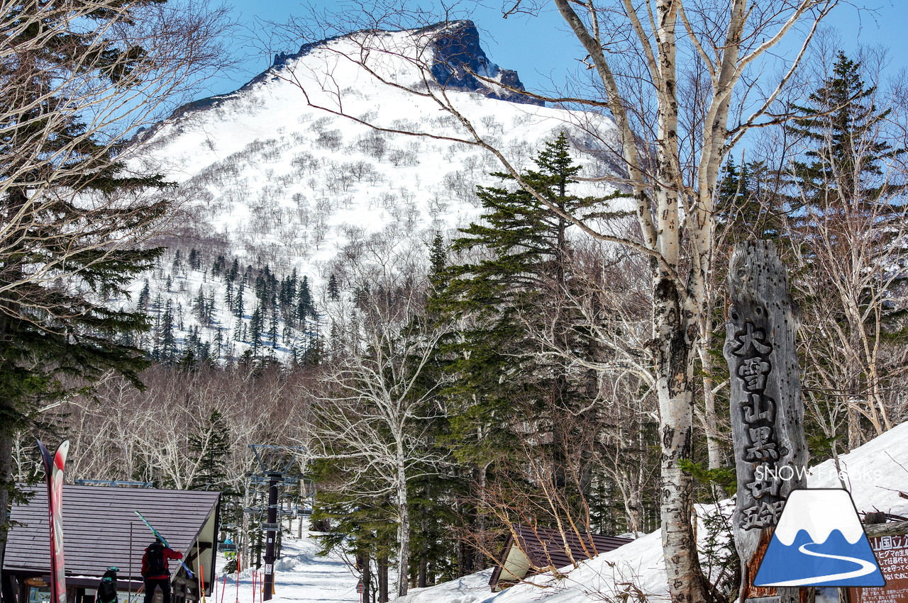 大雪山層雲峡黒岳ロープウェイスキー場　ゴールデンウィーク真っ只中！春スキーも、絶景も、そして、流しそうめんも(^▽^)/ 黒岳満喫の１日☆